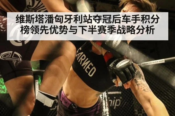 维斯塔潘匈牙利站夺冠后车手积分榜领先优势与下半赛季战略分析 | jiuyou game