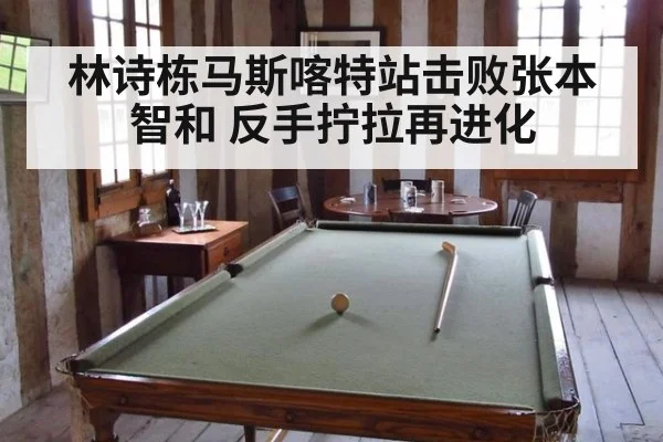林诗栋马斯喀特站击败张本智和 反手拧拉再进化 - jiuyou game